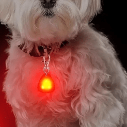chien-serin-collier-pendentif-lumineux