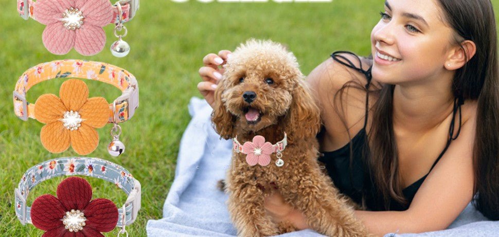 Collier pour petit chien/ bijou canin - GALAXY DES CHIENS