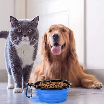 Gamelle pour Chien - SiliconeDogBowl™ - Bleu - GALAXY DES CHIENS