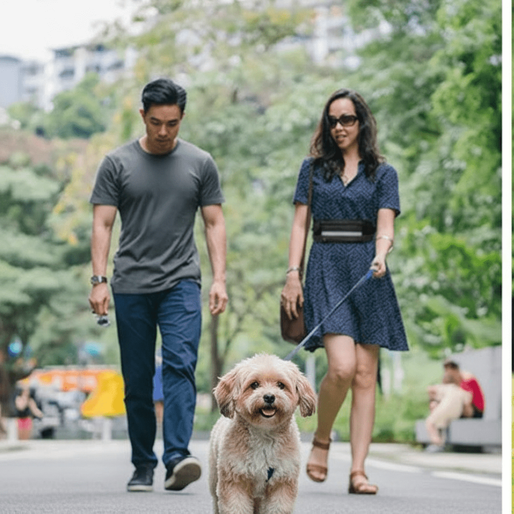Couple chien  promenade avec laisse mains libres pour chien