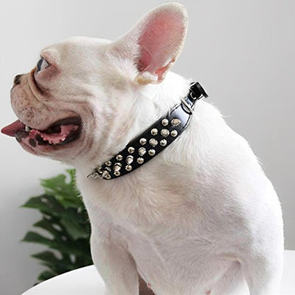 chien assis avec collier pour chien cuir qualité 