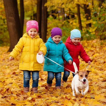 chien automne avec laisse chien enrouleur