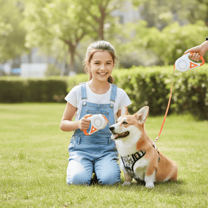 chien avec laisse chien enrouleur  dans jardin
