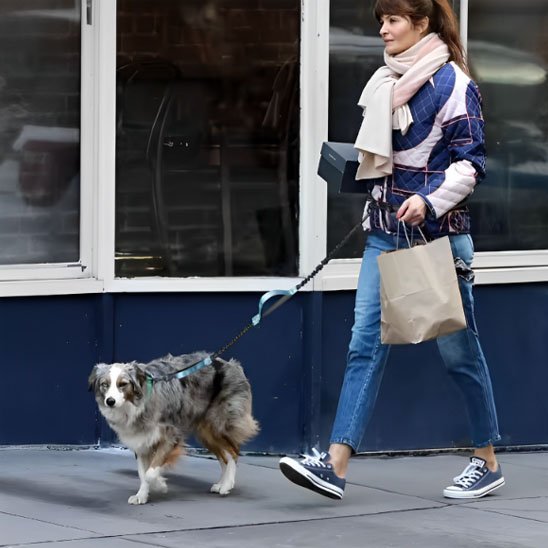 chien-balade-avec-laisse-mains-libres-pour 