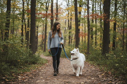chien-blanc-longe-chien-balade