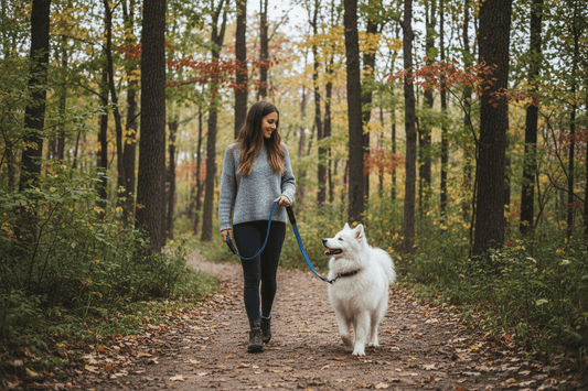 chien-blanc-longe-chien-balade