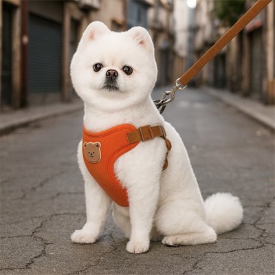 chien chaleureusement assis avec harnais pour chien