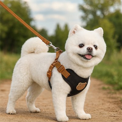 chien content portant harnais pour chien
