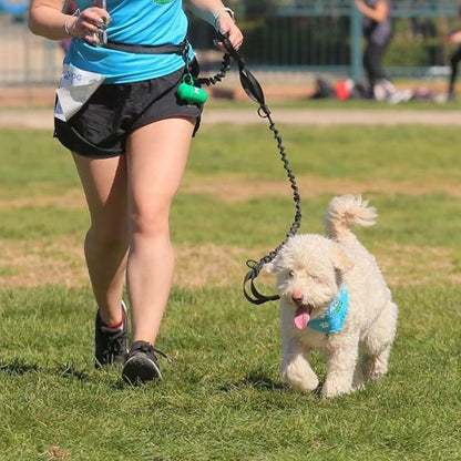 chien-courant-avec-laisse-mains-libres-pour 