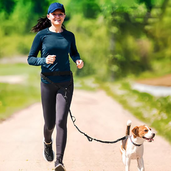 chien-courant-avec-sa-laisse-mains-libres-pour 