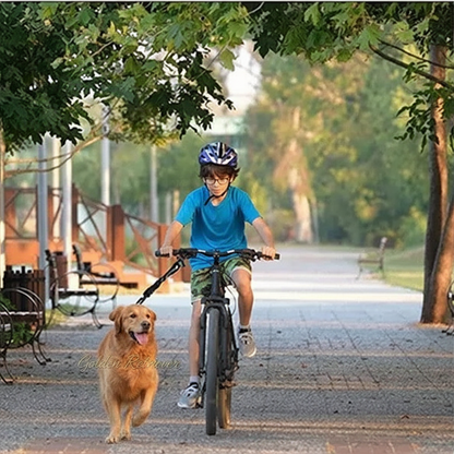 chien dans parc avec laisse mains libres pour chien