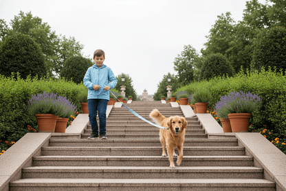 -chien-descendant-un-escalier-avec-longe-pour-chien
