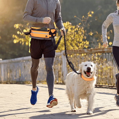 chien en course avec laisse mains libres pour chien