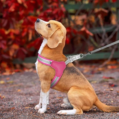 chien jardin assis avec son harnais pour chien