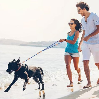 chien-jouant-plage-avec-laisse-double-pour-chien