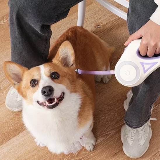 chien-maitre-assis-avec-laisse-chien-enrouleur