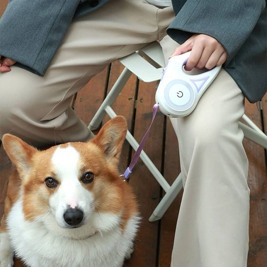 chien-maitre-observant-avec-laisse-chien-enrouleur