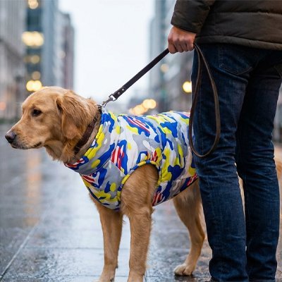 chien-maitre-sortie-hivernale-avec-manteau-pour-chien 