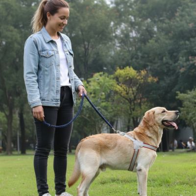 chien maitre souriant dans son harnais