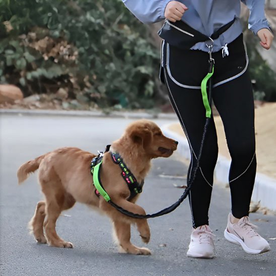 chien-maitre-visite-avec-laisse-mains-libres-pour 