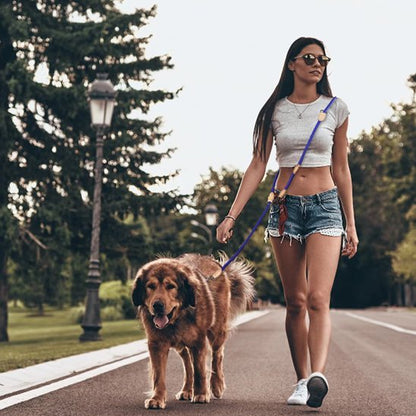chien-maitresse-balade-avec-laisse-double-pour-chien
