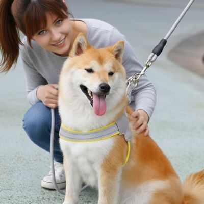 chien maitresse chaleureux dans son harnais