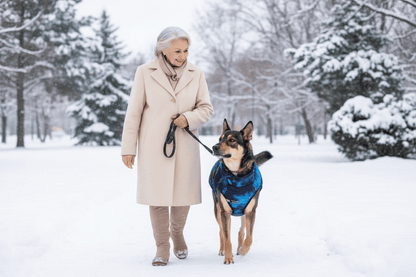 chien-marchant-avec-grand-m-re-portant-manteau-chien