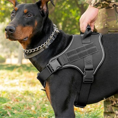 chien militaire portant son harnais chien anti traction  