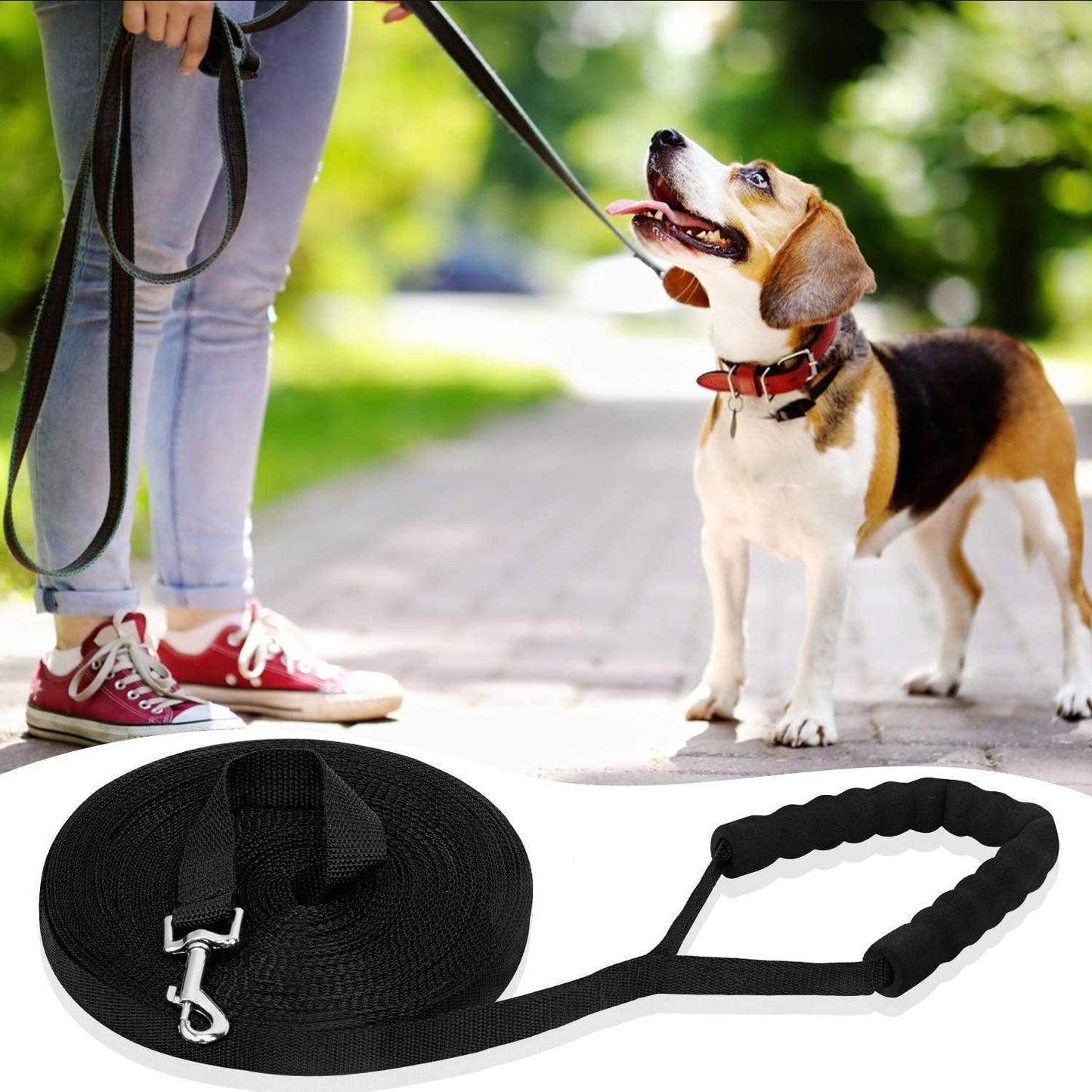 chien-obeissant-maitresse-portant-longe-chiens