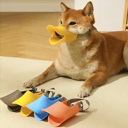 chien-observant-sa-gamme-de-muselière-chien