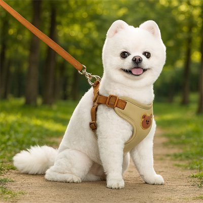chien parc assis fierement portant harnais pour chien
