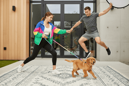 chien-pose-sportive-devant-maison-avec-longe-pour-chien