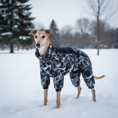 chien-promenade-hivernale-avec-son-manteau-chien 