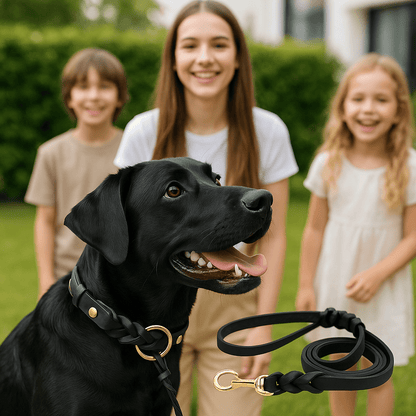 chien riant dans collier tresse