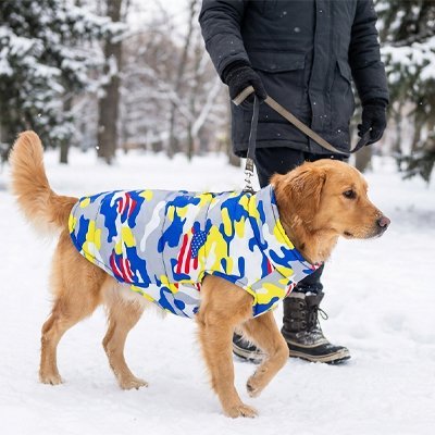 chien-sortie-hivernale-avec-manteau-pour-chien 
