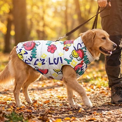 chien-sortie-reuissie-avec-manteau-pour-chien 