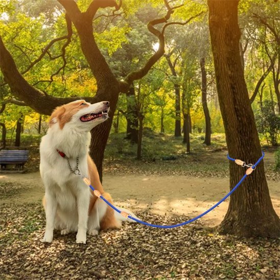 chien-sous-arbre-avec-laisse-double-pour-chien