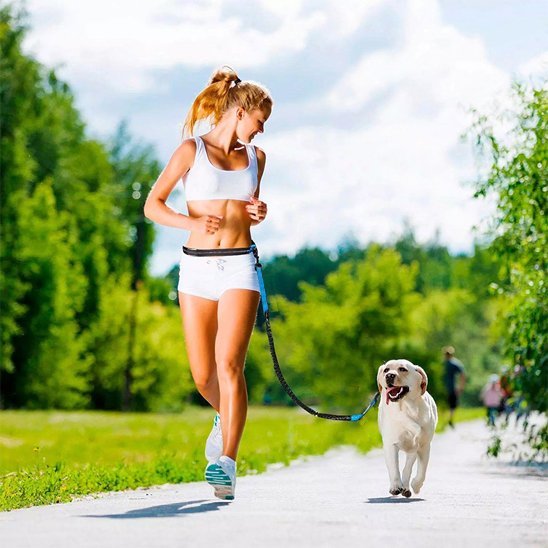 chien-sportif-avec-laisse-chien