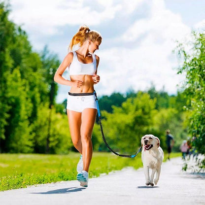 chien-sportif-avec-laisse-chien