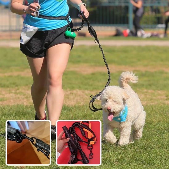 chien-sportif-laisse-mains-libres-pour 