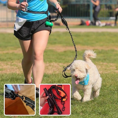 chien-sportif-laisse-mains-libres-pour 
