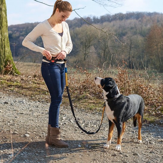chien-visite-forstiere-avec-laisse-chien