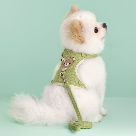 chienne assis elegant harnais