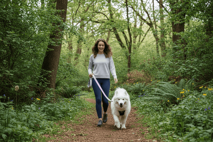 chienne-blanche-dans-nature-longe-pour-chien