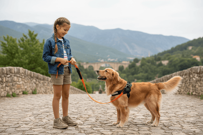chienne-sortie-touristique-longe-pour-chien