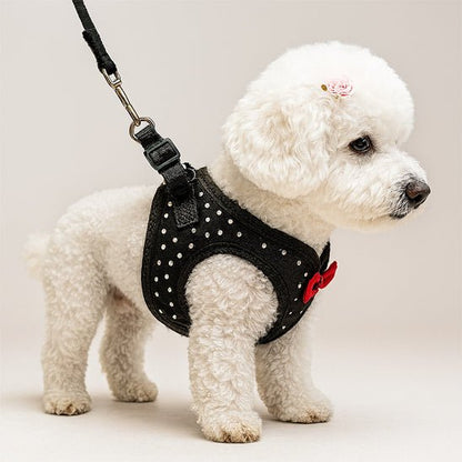 chiot promenade dans son harnais