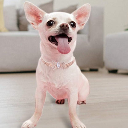 collien chien assis rose or