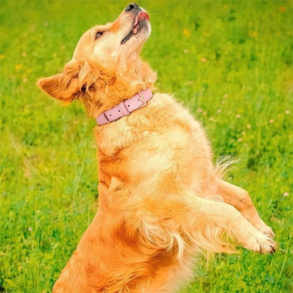 collier chien doux cuir joyeux
