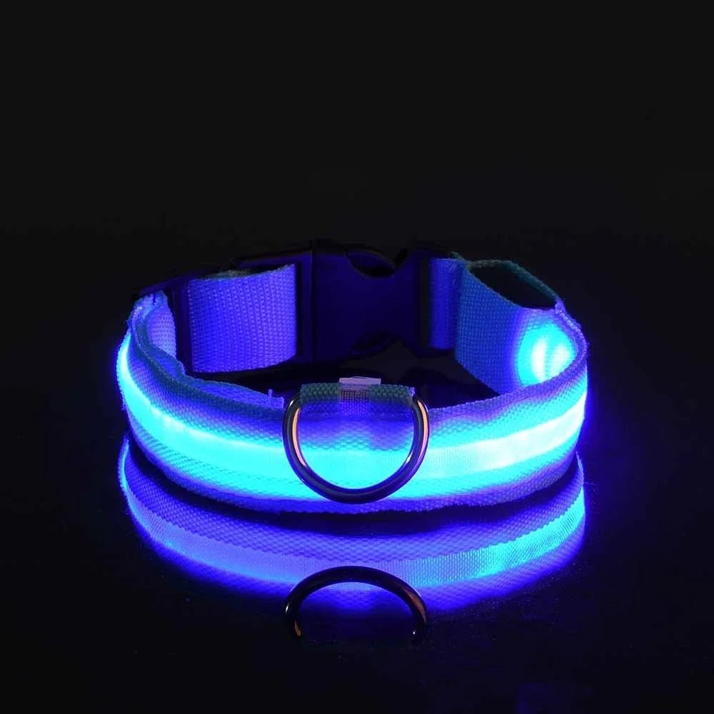 Collier Chien - LEDCollarDog™ - Bleu - GALAXY DES CHIENS