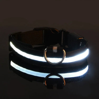 Collier Chien - LEDCollarDog™ - Noir - GALAXY DES CHIENS